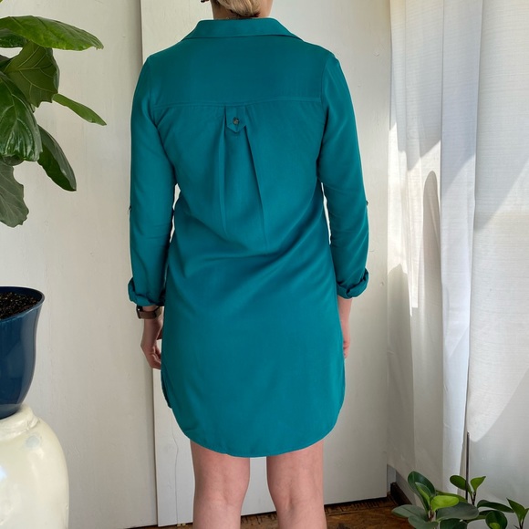 T5 Naked Zebra shirt dress - Picture 3 of 8